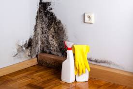 Best HVAC Mold Inspection and Cleaning  in Milwaukee, WI